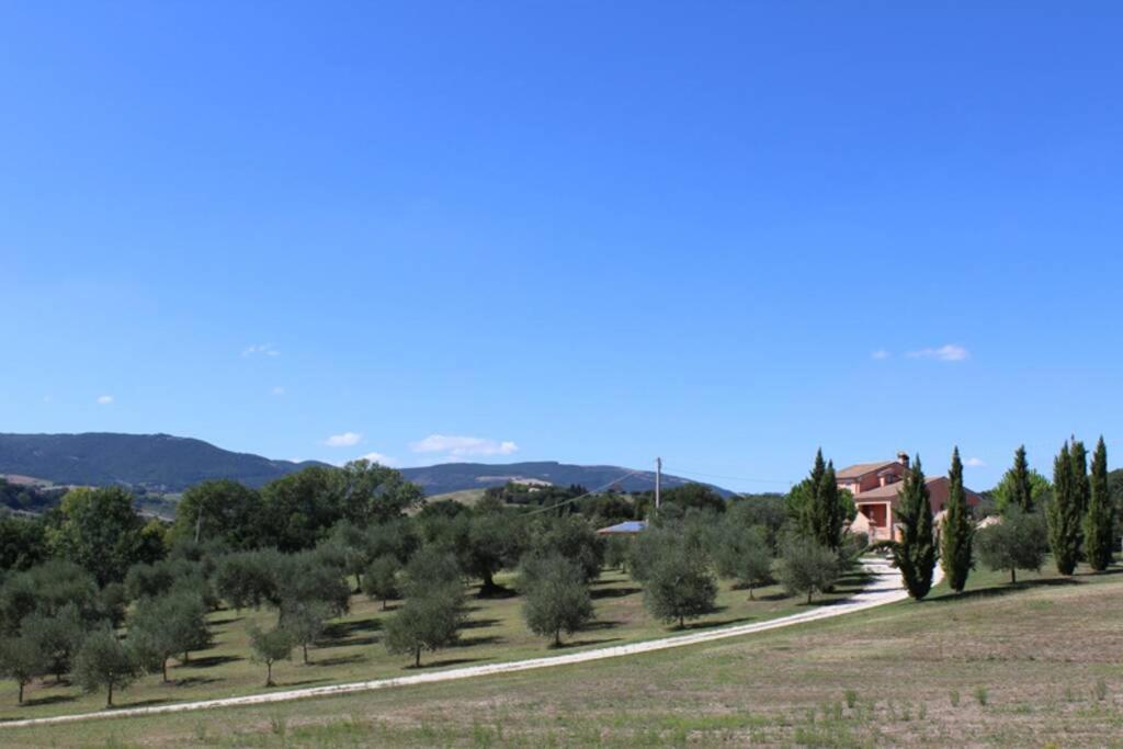 Casa Kikenda, Viaggio Nella Natura Treia المظهر الخارجي الصورة