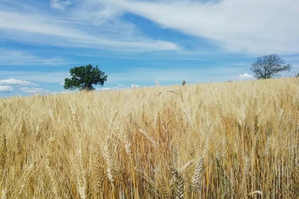 Casa Kikenda, Viaggio Nella Natura Treia المظهر الخارجي الصورة