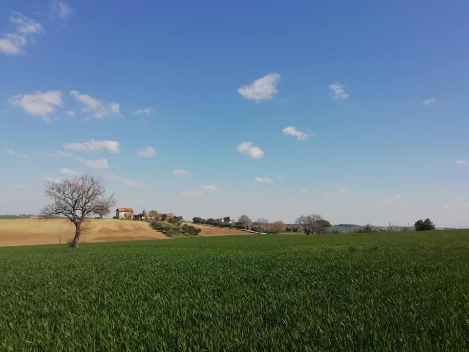 Casa Kikenda, Viaggio Nella Natura Treia المظهر الخارجي الصورة