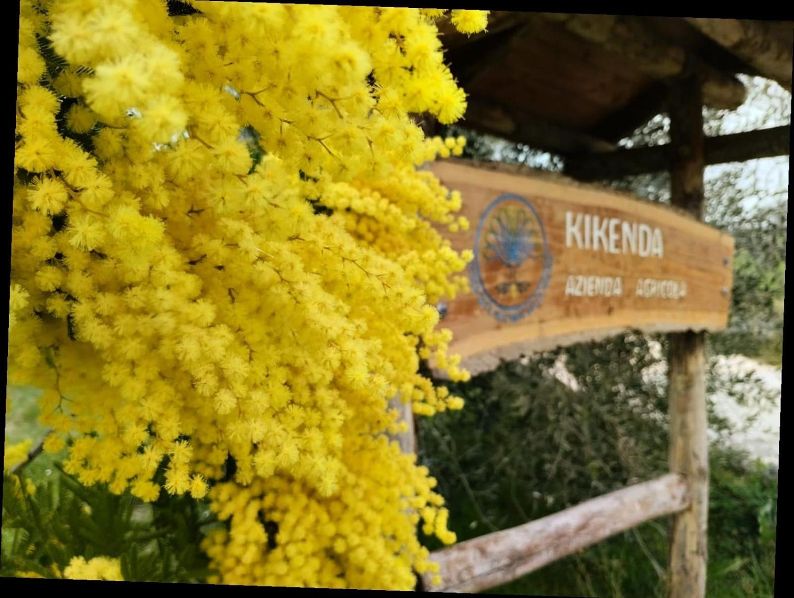 Casa Kikenda, Viaggio Nella Natura Treia المظهر الخارجي الصورة