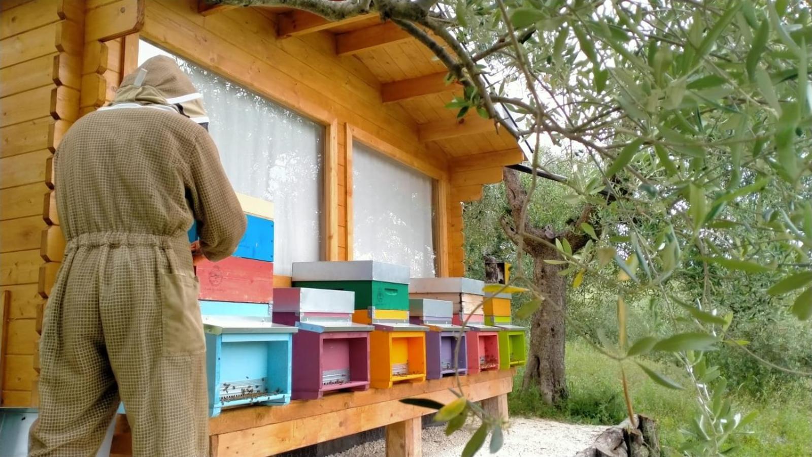 Casa Kikenda, Viaggio Nella Natura Treia المظهر الخارجي الصورة