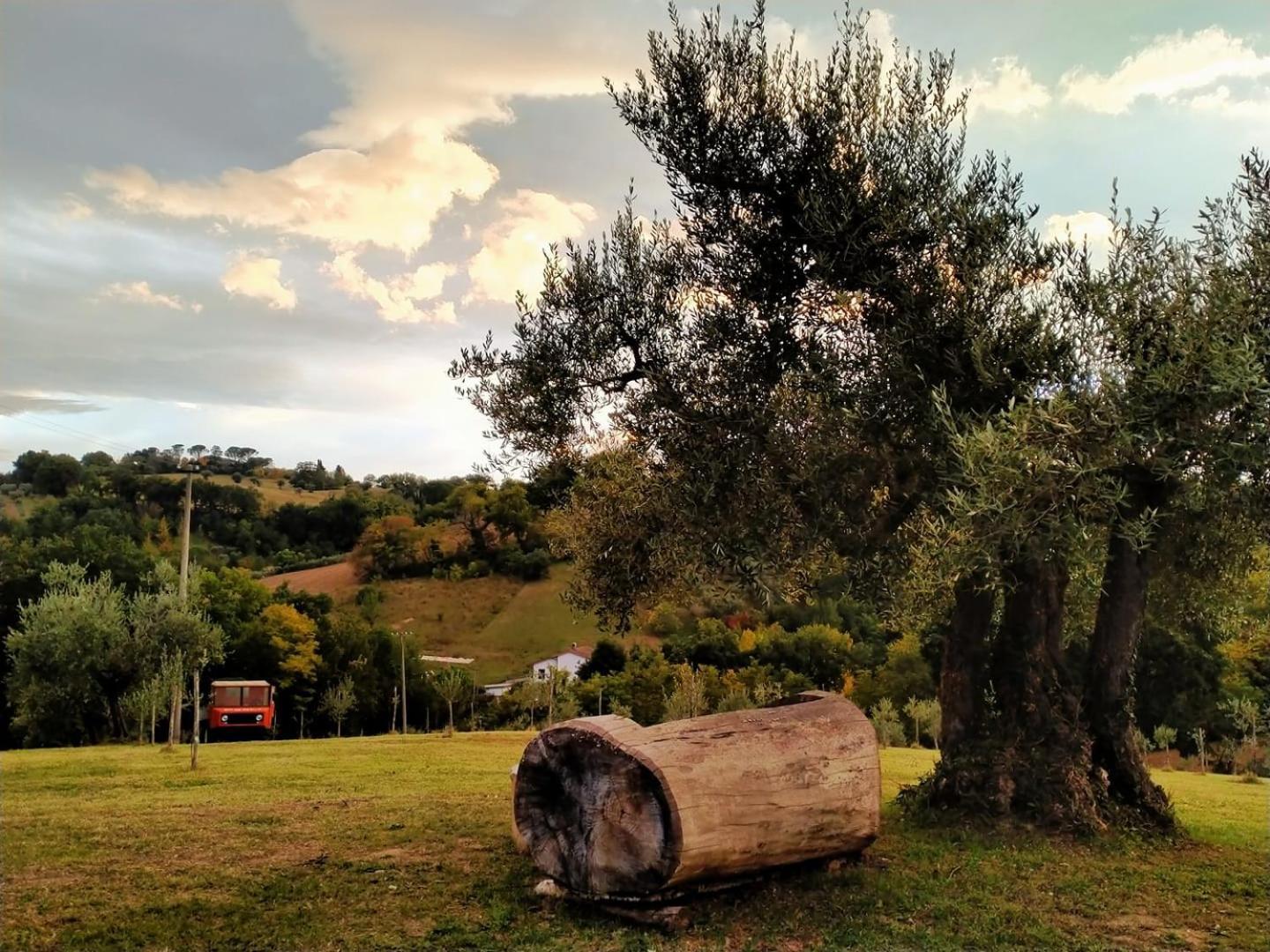 Casa Kikenda, Viaggio Nella Natura Treia المظهر الخارجي الصورة
